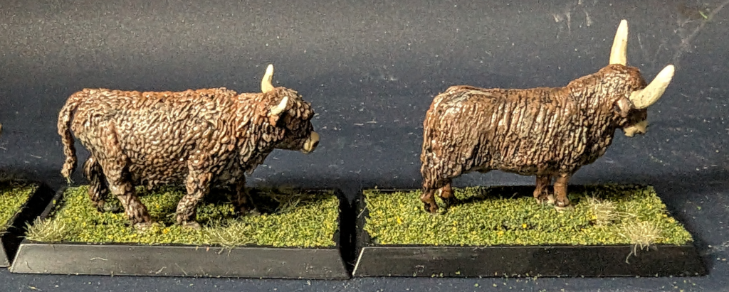 Side comparison of Victrix cow and Irregular cattle