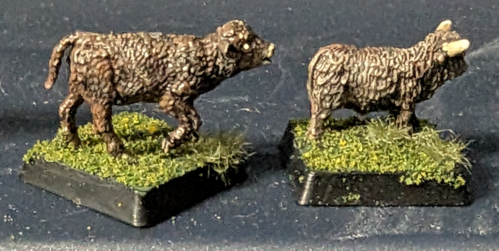 Victrix calf on the left, and Irregular calf on the right.